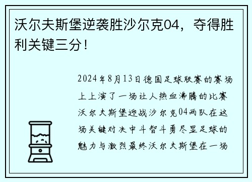 沃尔夫斯堡逆袭胜沙尔克04，夺得胜利关键三分！